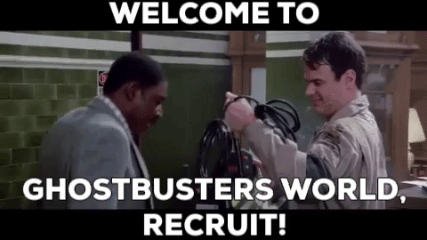 Welcome to Ghostbusters World, recruit!